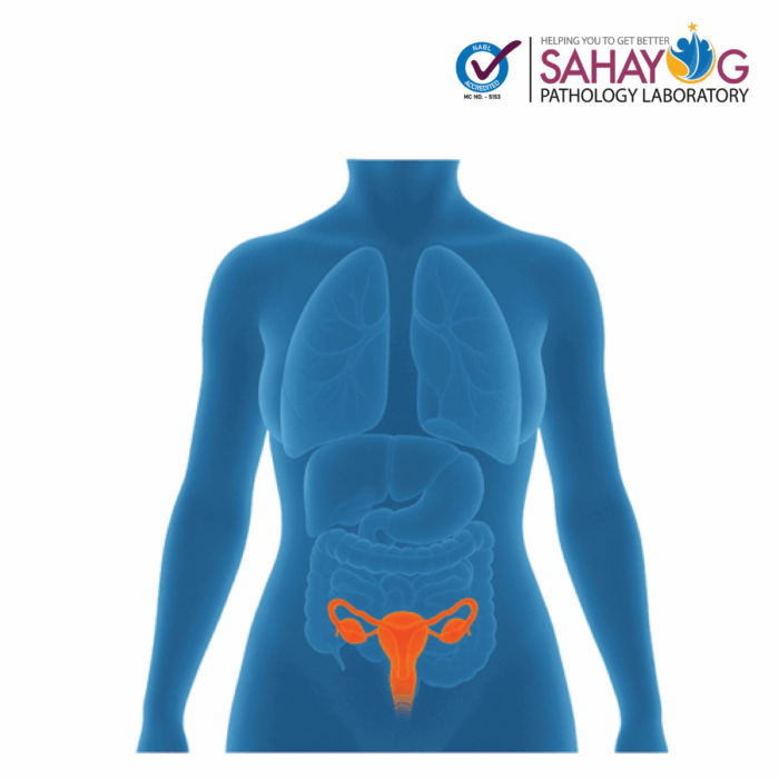 Ovarian Hormone Profile Basic