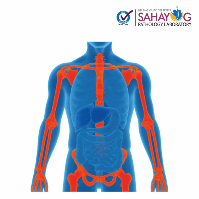 Sahayog Routine Bone Health Check up